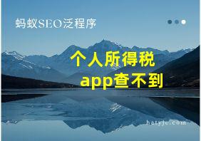 个人所得税app查不到