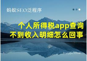 个人所得税app查询不到收入明细怎么回事