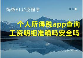 个人所得税app查询工资明细准确吗安全吗