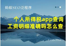 个人所得税app查询工资明细准确吗怎么查