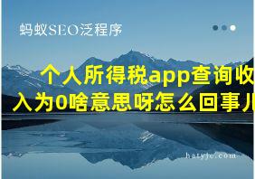 个人所得税app查询收入为0啥意思呀怎么回事儿