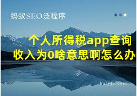 个人所得税app查询收入为0啥意思啊怎么办