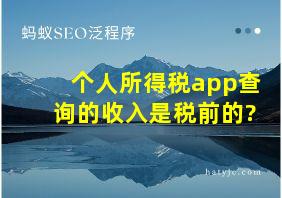 个人所得税app查询的收入是税前的?