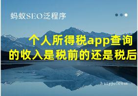 个人所得税app查询的收入是税前的还是税后