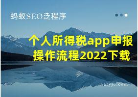 个人所得税app申报操作流程2022下载