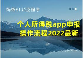 个人所得税app申报操作流程2022最新