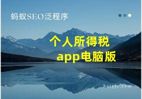 个人所得税app电脑版