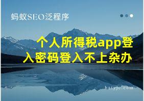 个人所得税app登入密码登入不上杂办