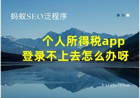 个人所得税app登录不上去怎么办呀