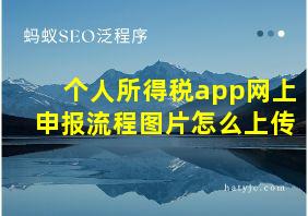 个人所得税app网上申报流程图片怎么上传