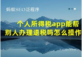 个人所得税app能帮别人办理退税吗怎么操作