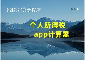 个人所得税app计算器