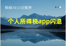 个人所得税app闪退