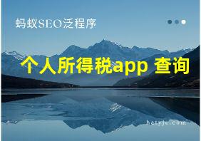 个人所得税app 查询