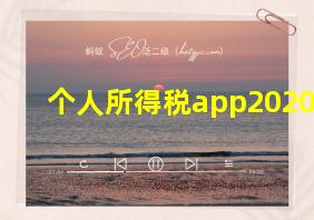 个人所得税app2020