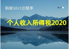 个人收入所得税2020