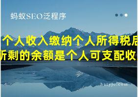 个人收入缴纳个人所得税后所剩的余额是个人可支配收入