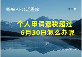 个人申请退税超过6月30日怎么办呢