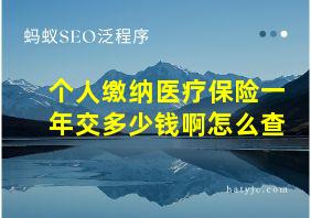 个人缴纳医疗保险一年交多少钱啊怎么查