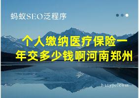 个人缴纳医疗保险一年交多少钱啊河南郑州