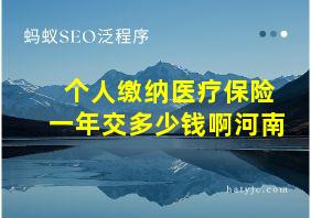 个人缴纳医疗保险一年交多少钱啊河南