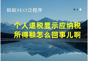 个人退税显示应纳税所得额怎么回事儿啊