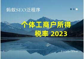 个体工商户所得税率 2023