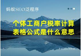 个体工商户税率计算表格公式是什么意思