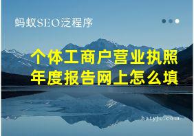 个体工商户营业执照年度报告网上怎么填