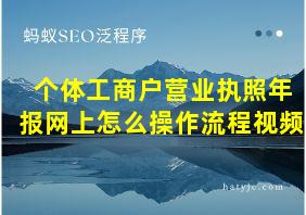 个体工商户营业执照年报网上怎么操作流程视频