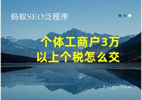 个体工商户3万以上个税怎么交