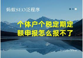 个体户个税定期定额申报怎么报不了