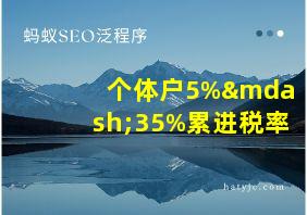 个体户5%—35%累进税率