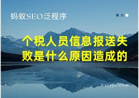 个税人员信息报送失败是什么原因造成的