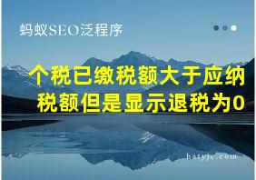 个税已缴税额大于应纳税额但是显示退税为0