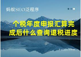 个税年度申报汇算完成后什么查询退税进度