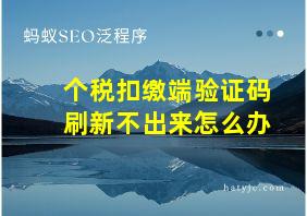 个税扣缴端验证码刷新不出来怎么办