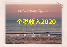 个税收入2020