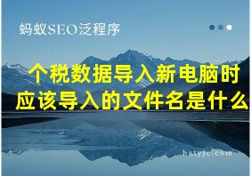 个税数据导入新电脑时应该导入的文件名是什么