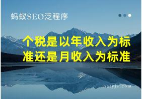 个税是以年收入为标准还是月收入为标准