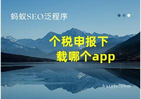 个税申报下载哪个app