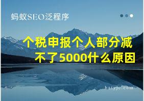 个税申报个人部分减不了5000什么原因