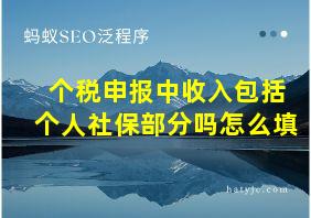 个税申报中收入包括个人社保部分吗怎么填