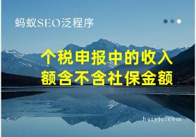 个税申报中的收入额含不含社保金额