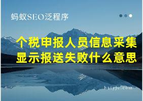 个税申报人员信息采集显示报送失败什么意思