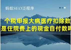 个税申报大病医疗扣除数是住院费上的现金自付数吗