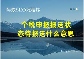 个税申报报送状态待报送什么意思