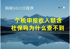 个税申报收入额含社保吗为什么查不到