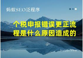 个税申报错误更正流程是什么原因造成的