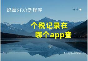 个税记录在哪个app查